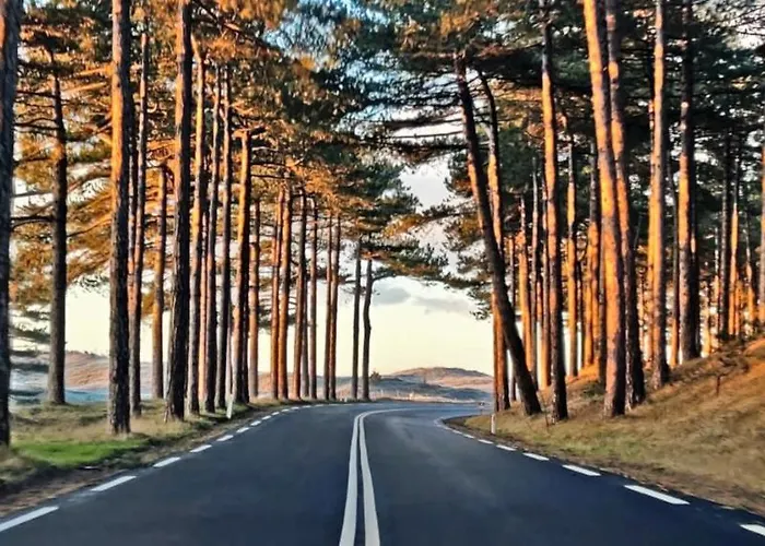 Prinsenhof # Zes * Bergen