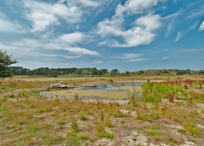 Prinsenhof # Zes Appartement