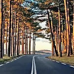 Prinsenhof # Zes * Μπέργκεν