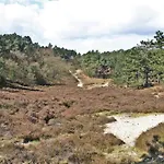 Prinsenhof # Zes * Μπέργκεν