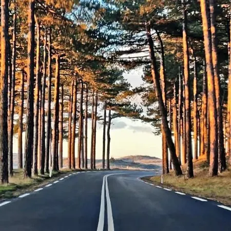 Prinsenhof # Zes * Bergen